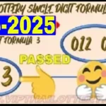 Thailand Lotto 3up Single Digit Vip Total Win Formula 16-05-2024