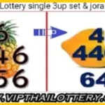 Thai Lottery Bangkok Single Set Jora Last Formula Tip 16-6-2025