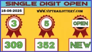 Thai Lottery Direct Set Total Digit Single Formula 16th June 2025