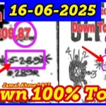 Thai Lottery Down Total Open Vip Special Win Tips 16-06-2025