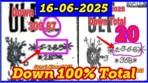Thai Lottery Down Total Open Vip Special Win Tips 16-06-2025