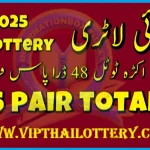 Thai Lottery First Pair Totals Non Miss Formula Update 16.6.2025