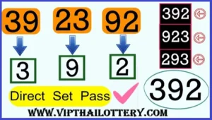 Thailand Lottery Direct Win Vip Total Paper Sure Pass 01.7.2025