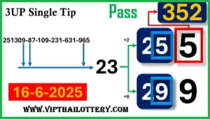 Thailand Lottery Single Digit 3UP Special First Game 16-06-2025