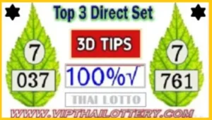 Thailand Lottery Staight Direct Set Total Pass 3D Tips 16.06.2025