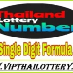 Thailand Lotto Open Down Game VIP Single Number