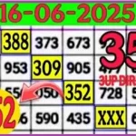 Thailand Lotto Sure Set 3up Direct Win Set Dolphin Tip 16-06-2568