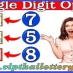 Thailand Lotto Win Single Digit Total Pair Formula 01-07-2025