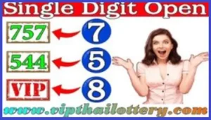 Thailand Lotto Win Single Digit Total Pair Formula 01-07-2025