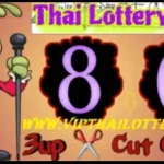 Thai Lottery 3D Vip Non Miss Cut Digit Updated Formula 01-8-2025