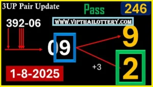 Thai Lottery 3UP Single Master Game Vip Pass Number 01-8-2025