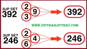 Thai Lottery 3up Total Set 100% Single Pass Route
