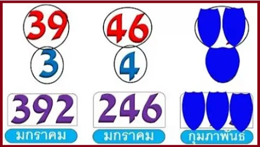 Thai Lottery Direct Set Total Pass Non Miss Wining Chance
