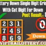Thai Lottery Down Single Cut Digit Grid Paper 01-8-2025