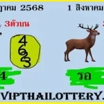 Thai Lottery Win Lucky Number Sxline Vip Tips 01-08-2568