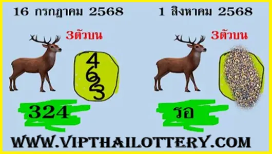 Thai Lottery Win Lucky Number Sxline Vip Tips 01-08-2568