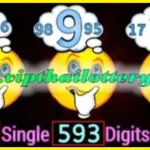 Thai Lottery Win Single Digit Non Missed Formula 16-7-2025