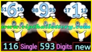 Thai Lottery Win Single Digit Non Missed Formula 16-7-2025