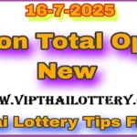 Thailand Lottery Key Digits 2 Down Full Pair Game July 16, 2025