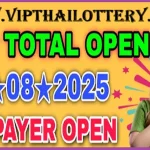 Thailand Lottery Vip Tips Non-miss Single Pair Formula 1-8-2025