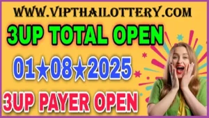 Thailand Lottery Vip Tips Non-miss Single Pair Formula 1-8-2025