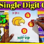 Thailand Lotto Vip Single Set First Tandola Routine 01-08-2568