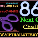3D Thai Lottery King VIP Cut Digit Single Akrra 01.9.2568