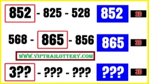 Thai Lottery Bangkok 3D Master Big Win Number 01-9-2025