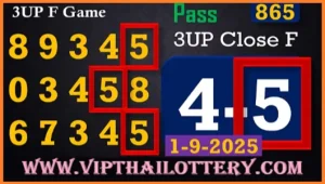 Thai Lotto Single Close Digit Update 99% Guarantee Vip Tips 01.9.25