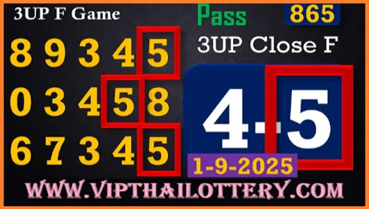 Thai Lotto Single Close Digit Update 99% Guarantee Vip Tips 01.9.25