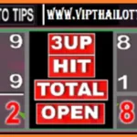 Thai National Lottery Single Fix 2Set Sure Win Game 01-9-2025