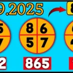 Thailand Lottery HTF 99.99% Win Tips Total Cut Pair 01-09-2025