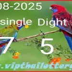 Thailand Lottery Last Paper Today 3up Free Tips 16-8-2025
