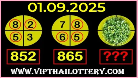 Thailand Lotto 3D Direct Set Win Vip Sure Number