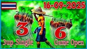 Thai Government Lottery Single Down Fix 2Set Game 16-9-2025
