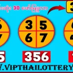 Thai Lottery 2 Down Sure Pairs Result Update 16-9-2025