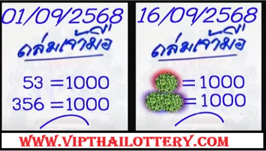Thai Lottery 3D Hit Total King Close Digit Result