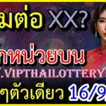 Thai Lottery King Tips 99% Non Miss Single Digit Update 16-09-2568