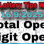 Thailand Lottery Single Number 100% Winner Tips 16-9-2025