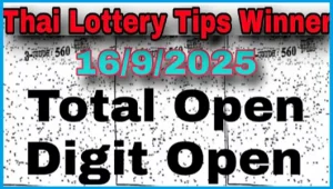 Thailand Lottery Single Number 100% Winner Tips 16-9-2025