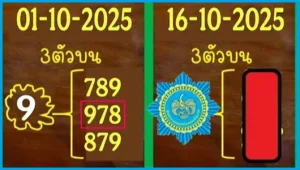 Thai Government Lottery HTF 2 Down Direct Set Sure Tips 16-10-2025
