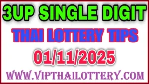 Thai Lottery Online Single Game VIP Updated Formula 01-11-2025