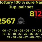 Thai Lotto Vip Tricks Sure Number Total Game Win 16th October 25