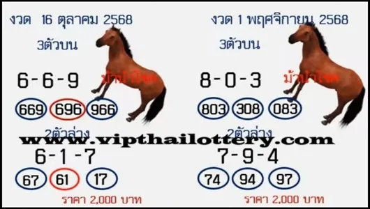 Thailand Government Lottery Final Game Sure Digit 01.11.2025