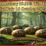 Thailand Lottery 99.99% Win Tips Total Cut Pair 16 October 2025
