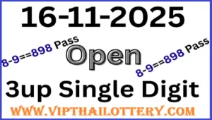 Thai Lottery 3up Single Digit Sure Pass Formula 16-11-2025