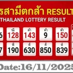 Thailand Lottery Today First Prize Number 16-11-2025