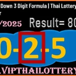 Thai Lottery Down 3 Digit 100% Sure Number Formula 16-12-2025