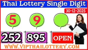 Thai Lottery Down Digit 99.99% Win Tips Cut Pair
