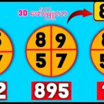 Thai Lotto Total Down Cut Winning Numbers Updated 30-12-2025